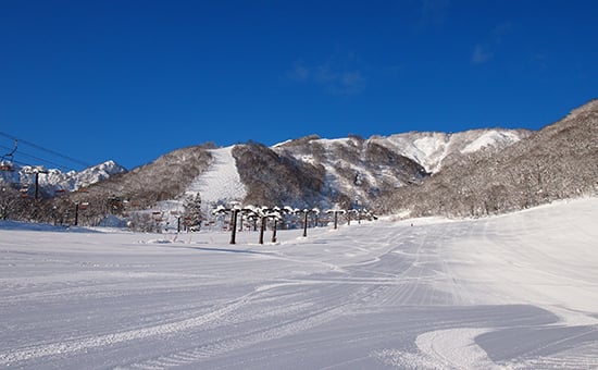 powdersnowcourse